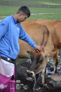First Tee - monterey County participant petting ahorse on Little Jenny Ranch during a visit to Wyoming Wyldlife Fund.